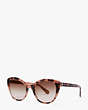 Amberlee Sunglasses, Pink, Product