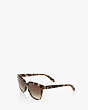 Bayleigh Sunglasses, Camel Tortoise, Product