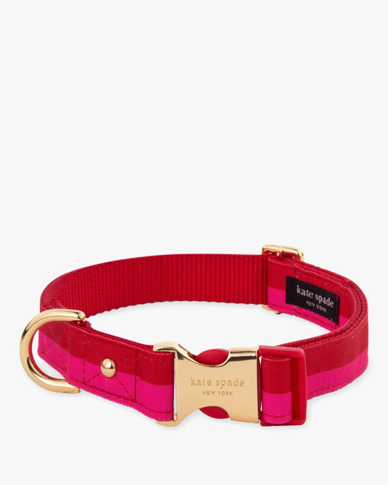 Kate Spade Colorblock Collar In Colorblock
