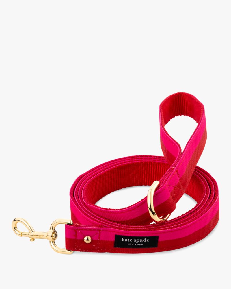 Kate Spade Colorblock Leash In Colorblock