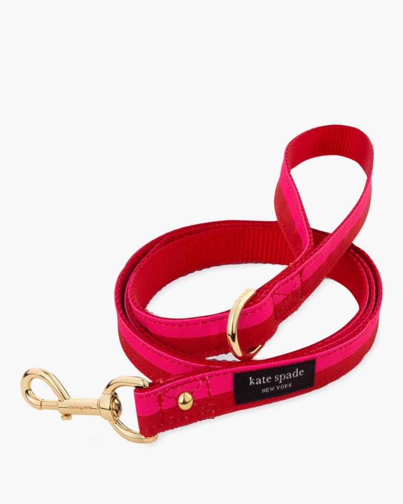 Kate Spade Colorblock Leash S/m In Colorblock