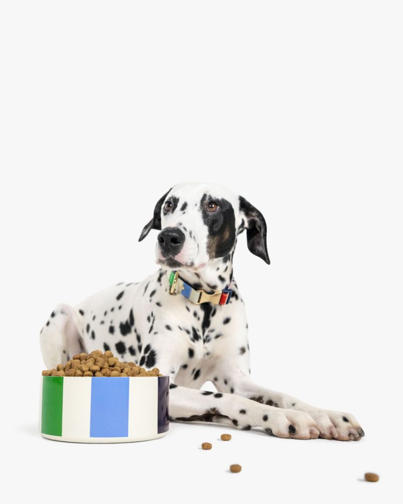 Pet Shop | Kate Spade Outlet