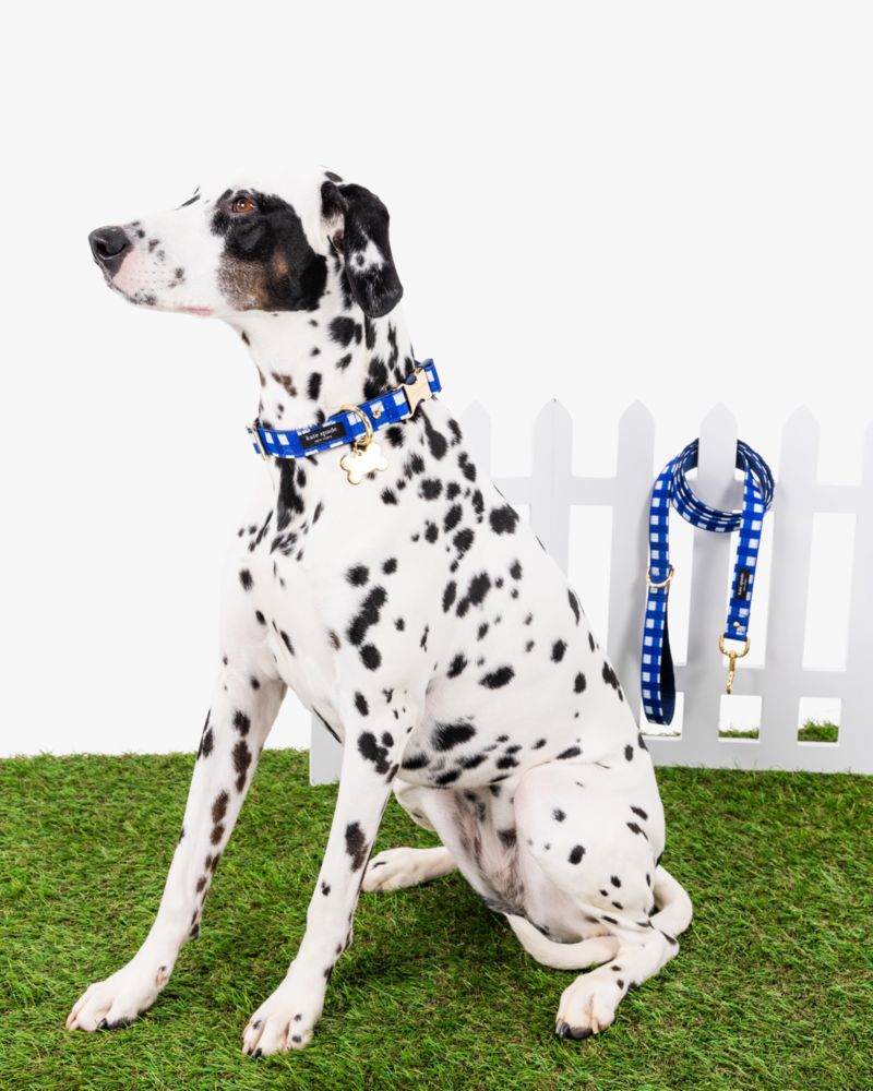 Navy Gingham Leash S/M