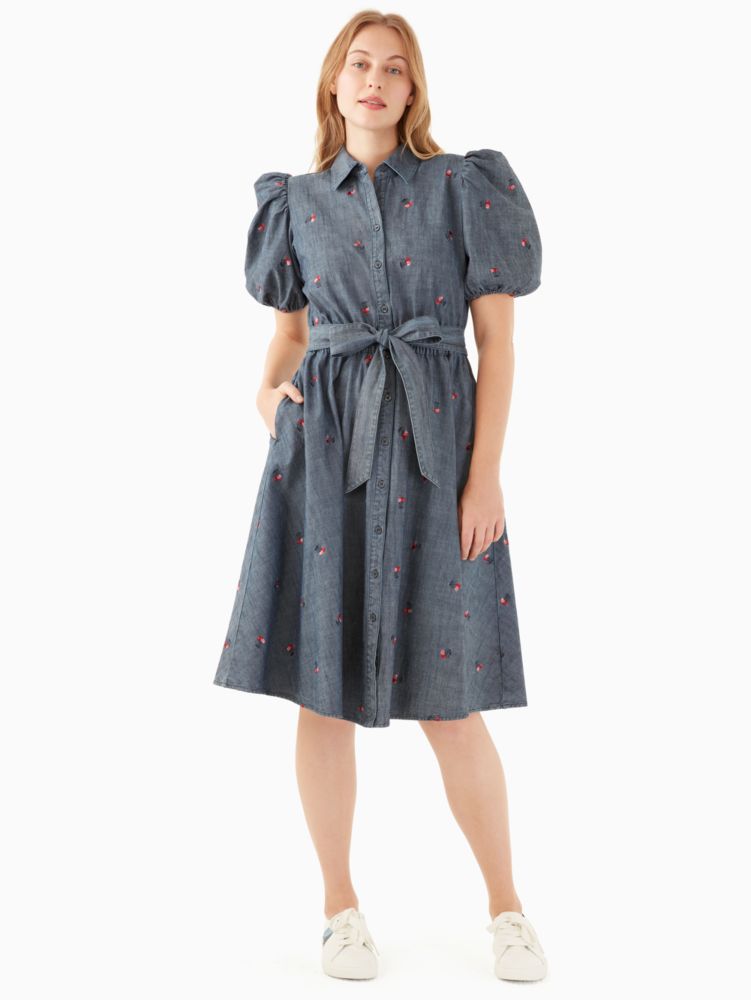 lemon zest shirtdress kate spade