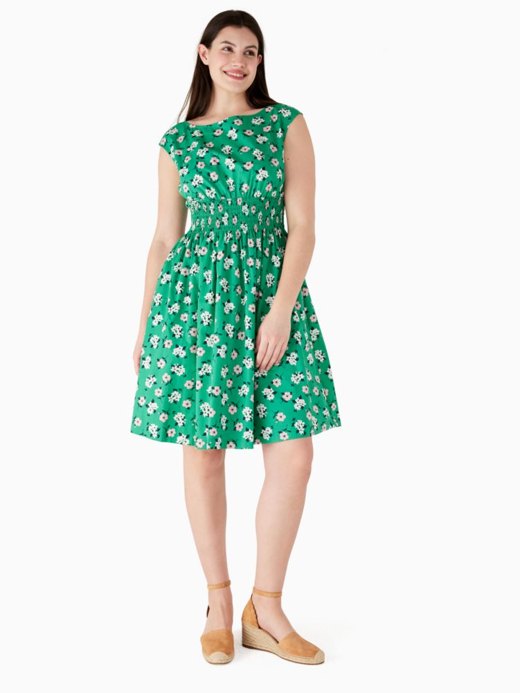 kate spade blaire dress