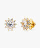 Sunny Stone Halo Studs, Clear, ProductTile