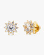 Sunny Stone Halo Studs, Clear, Product