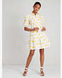 Suns Lake Dress, Cream, Product