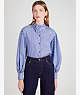 Pastry Stripe Carrie Shirt, Citrine Blue, ProductTile