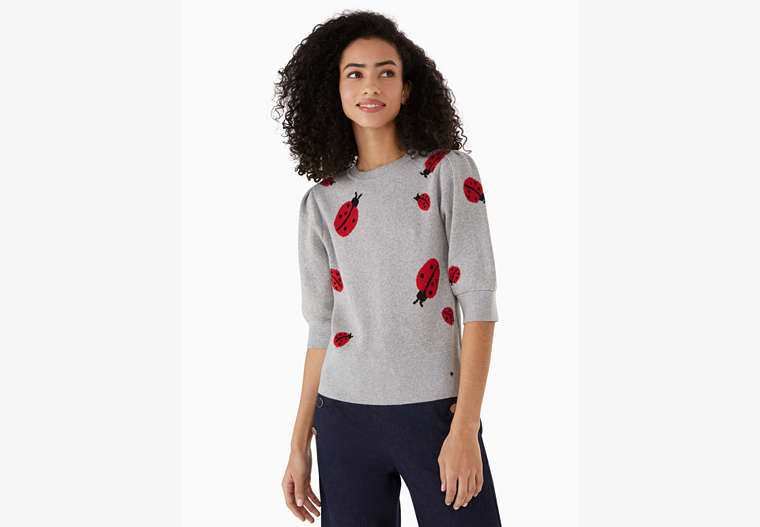 Ladybug Sweater, Grey Melange, Product image number 0