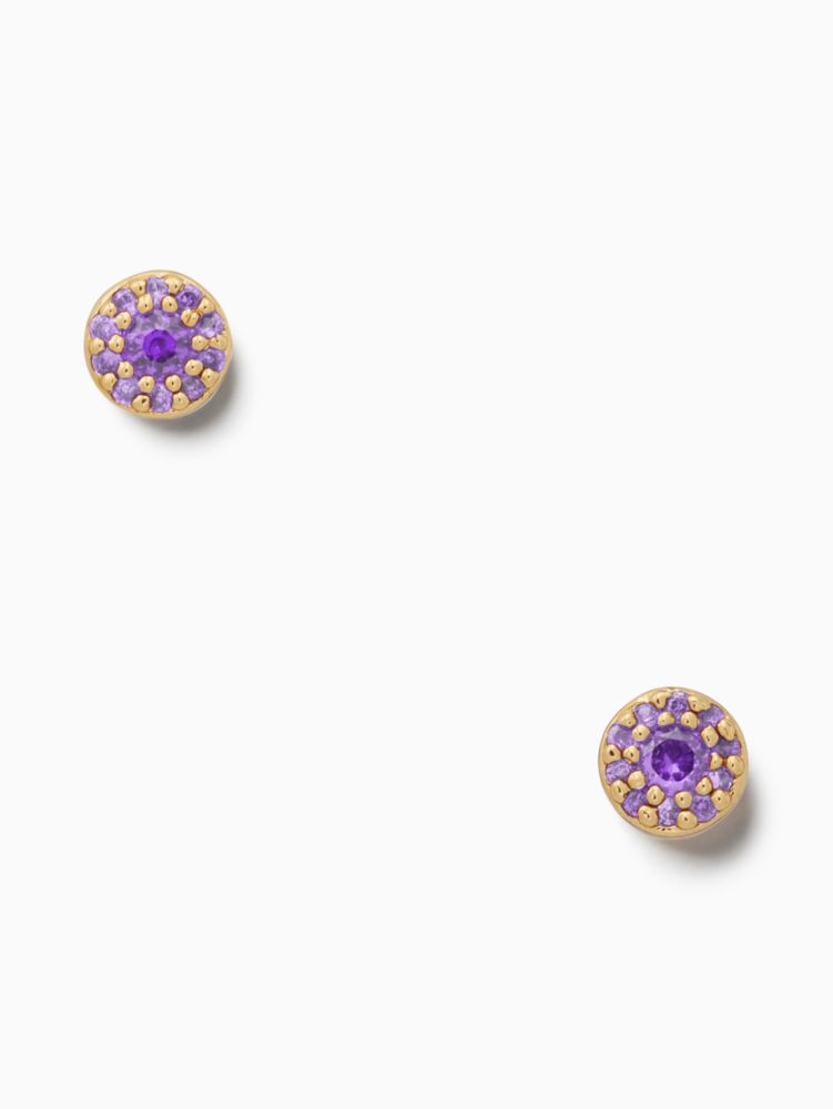 something sparkly spade studs