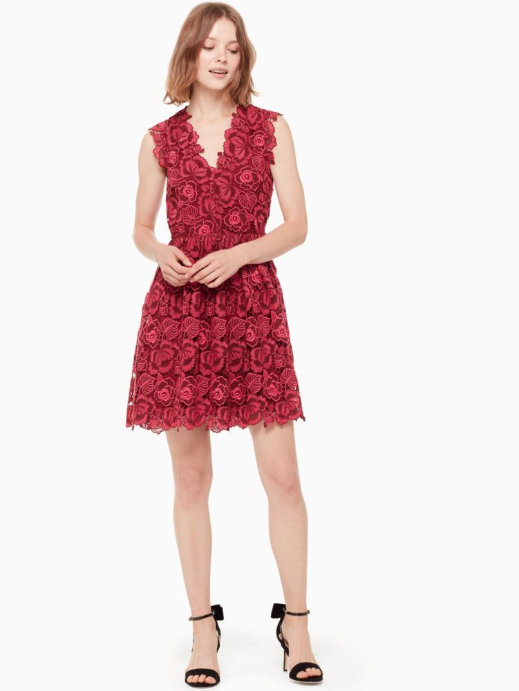 Bicolor Lace Dress | Kate Spade New York