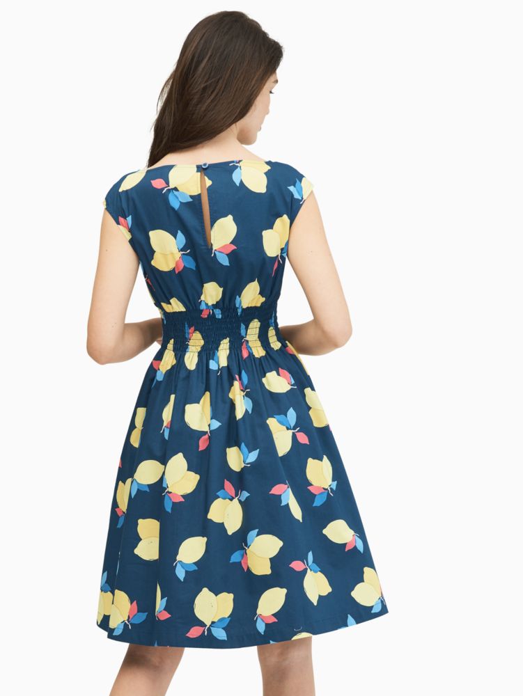 Arriba 34+ imagen kate spade lemon zest blaire dress