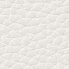 Cream. Farbe
