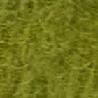 BITTER GREENS
