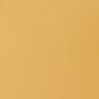 Cream/Gold