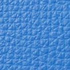 Color Frisbee Blue