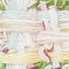 Cream Multi