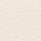 Parchment
