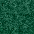 Arugula Farbe