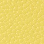 yellow sesame multi