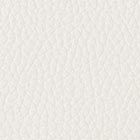 parchment