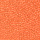 coral buds