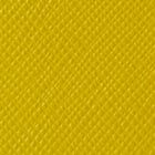 chartreuse
