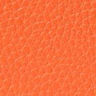 coral buds